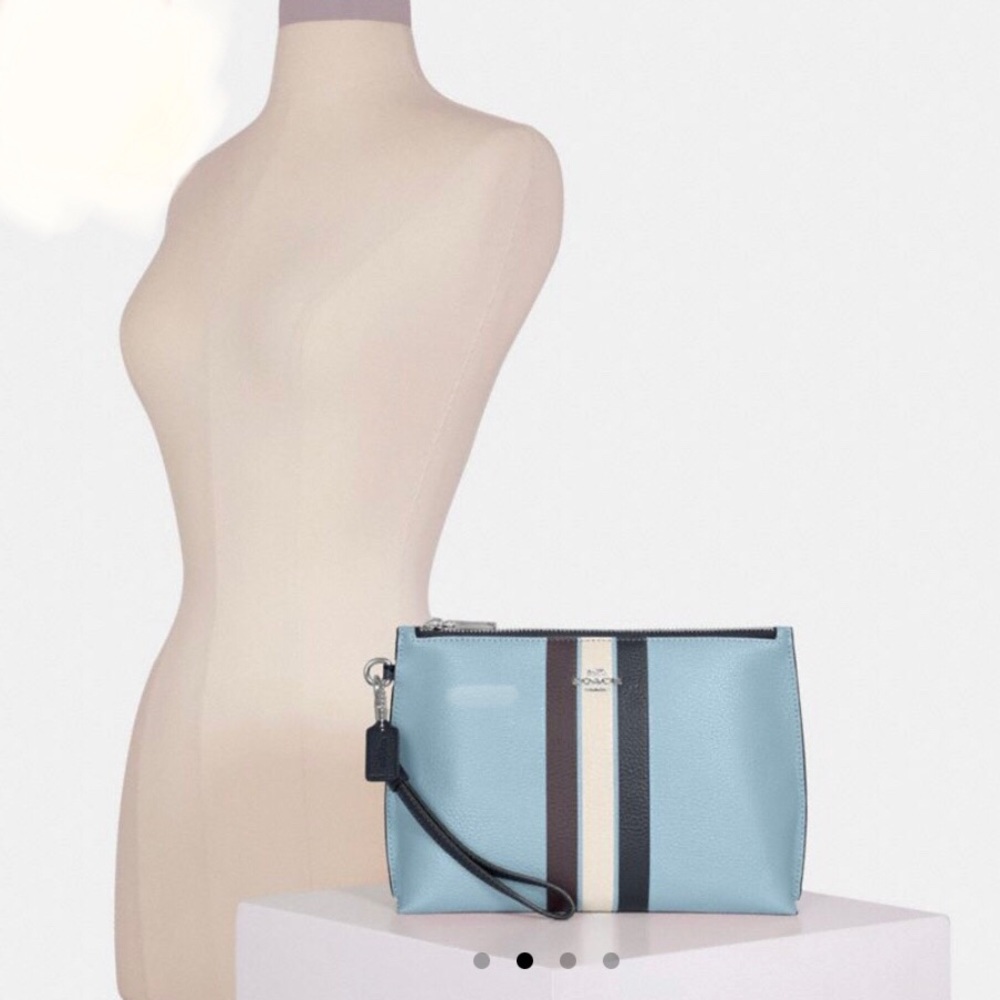 NEW Coach Rowan Soft Leather Pouch Colorblock Wristlet Stripe Waterfall Midnight